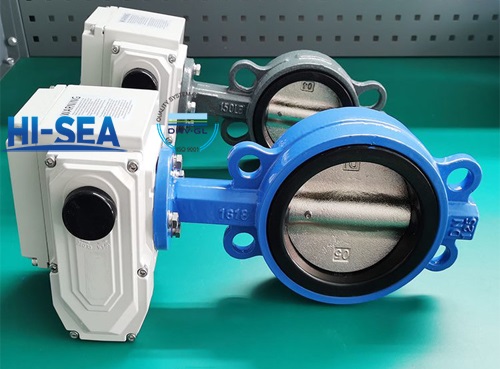 Electric Actuator Butterfly Valve pic.jpg